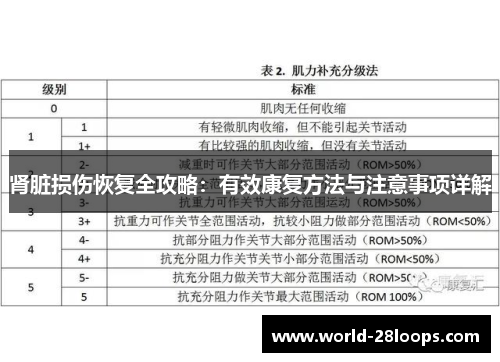 肾脏损伤恢复全攻略：有效康复方法与注意事项详解