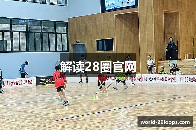 解读28圈官网